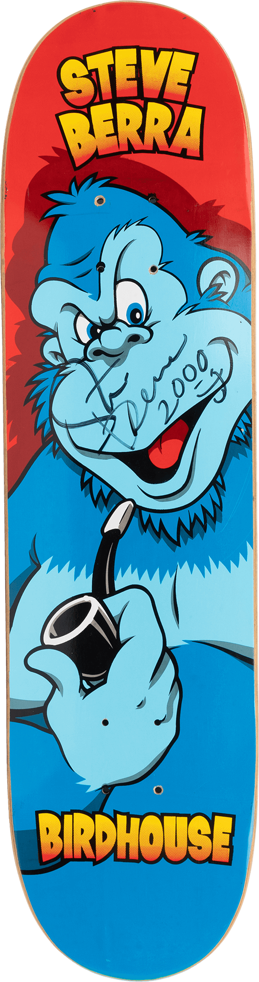 Steve Berra | Birdhouse Projects